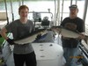 (07/30/2016) - Nice Striped Bass